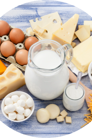 Dairy